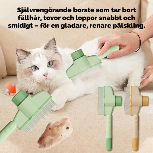 BuggisBrush - Borsta bort loppor & stress